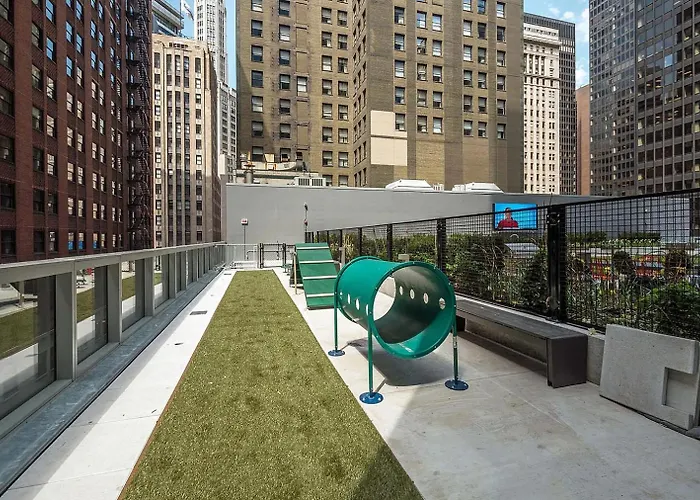Loop W Roof Deck Nr Michigan Ave Chi-1014 Apartment